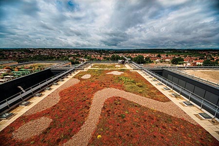 Why sustainable drainage systems make good sense