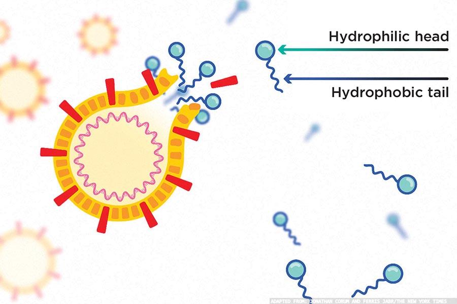 Combating coronavirus using practical measures