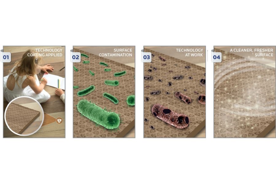 Non-heavy-metal antimicrobial technology for water-based coatings