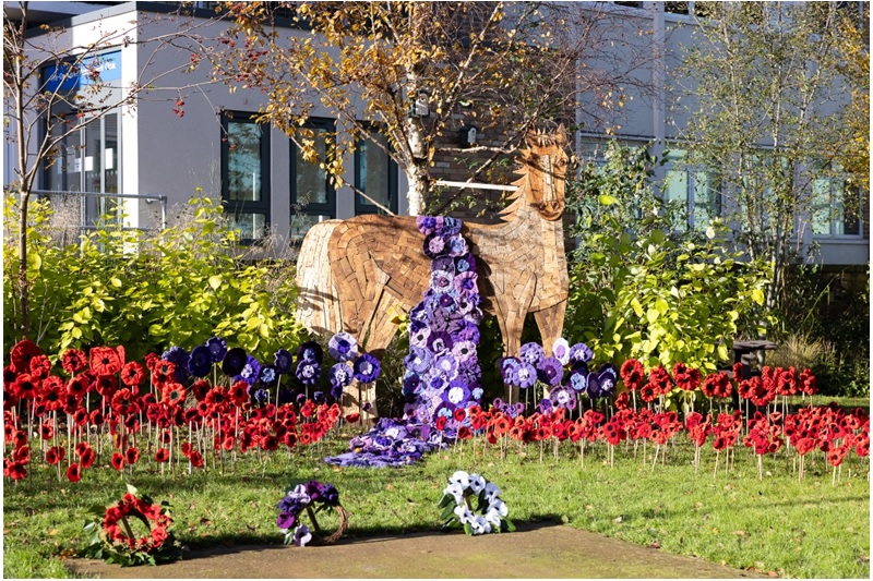 Striking poppies and life-size wooden horse feature at Birmingham Hospital