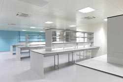 Royal Free facility to conduct global immunology research