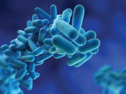 Be prepared should Legionella strike