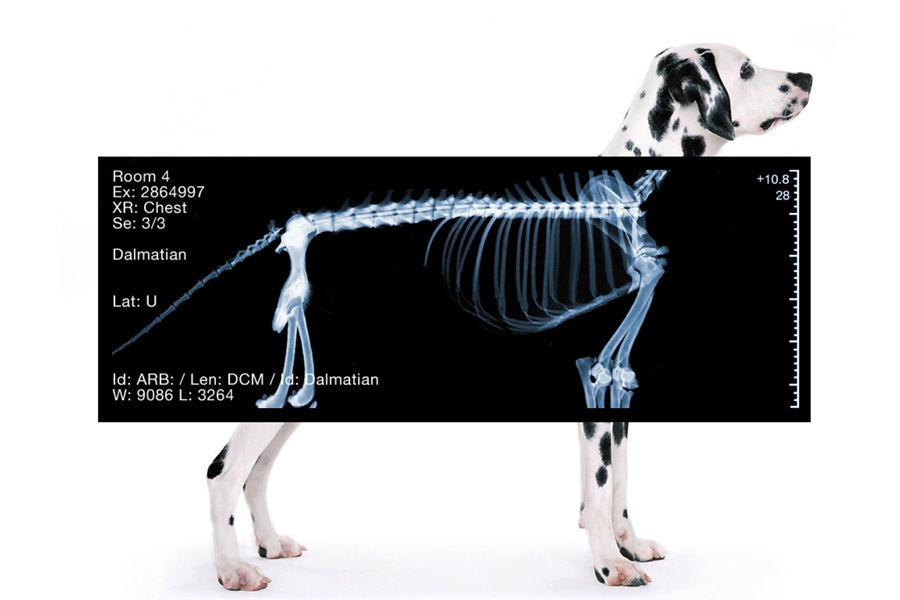 Reinsberg Group acquires German X-ray system specialist